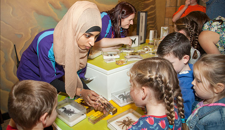 Two volunteers using hands-on specimens to interact with children in the Museum galleries