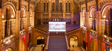Hintze Hall at night set up for a private event with elaborate flower displays and dressed tables.