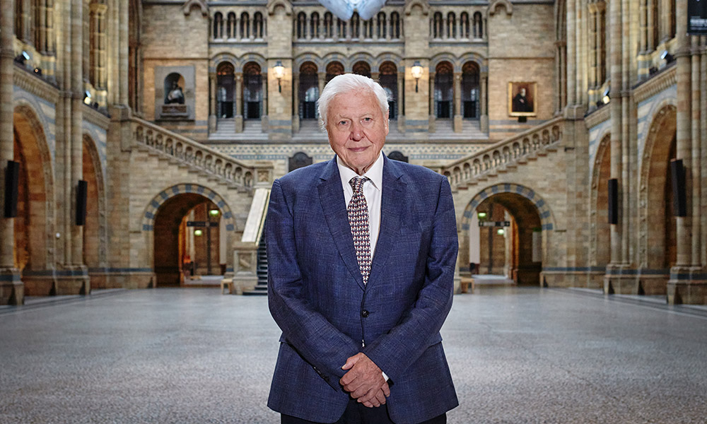 David Attenborough standing in Hinze Hall