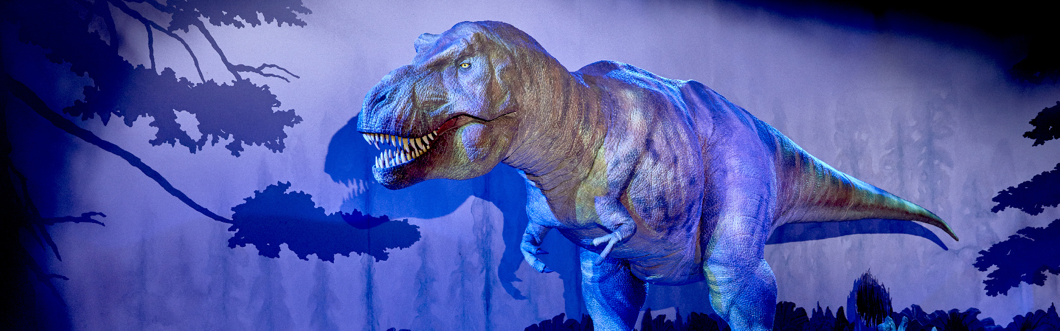 A photo of the animatronic T-rex in the Dinosaurs gallery, lit up in blue lighting