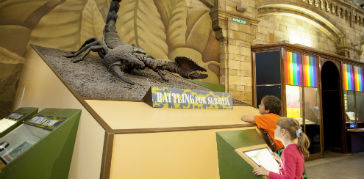 A photograph of a display in the Creepy Crawlies gallery