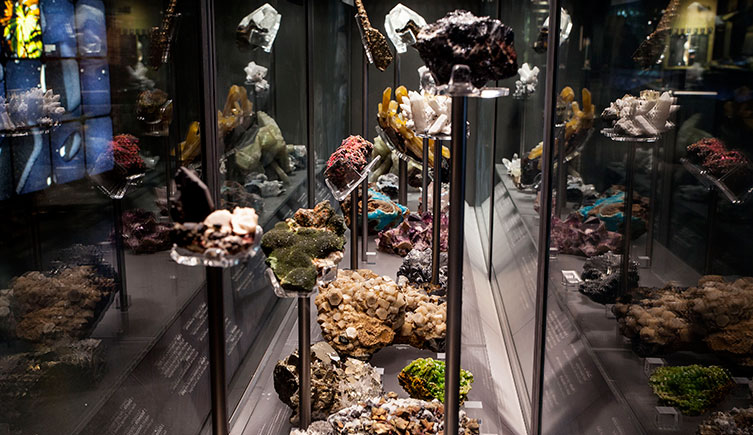 Gems in different colours are seen behind glass