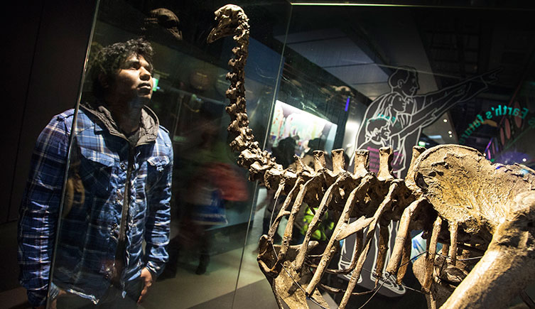 A visitor comes face to face with an ancient bird