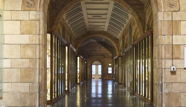 The Mammals gallery corridor