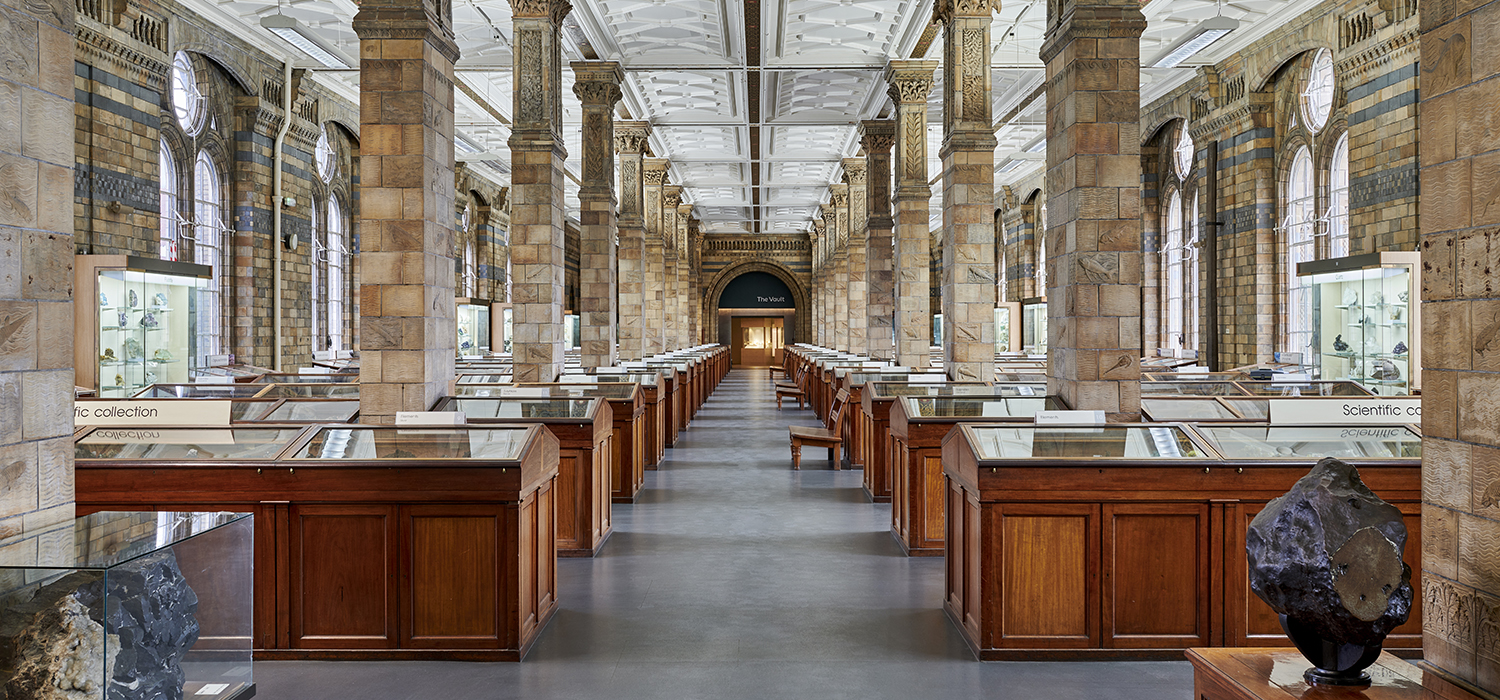 A photograph of display cases in the Minerals gallery