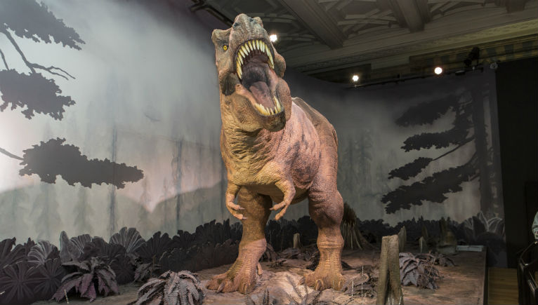 A photograph of our animatronic T-rex