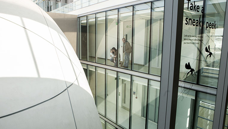 A photograph of the Cocoon in the Darwin Centre