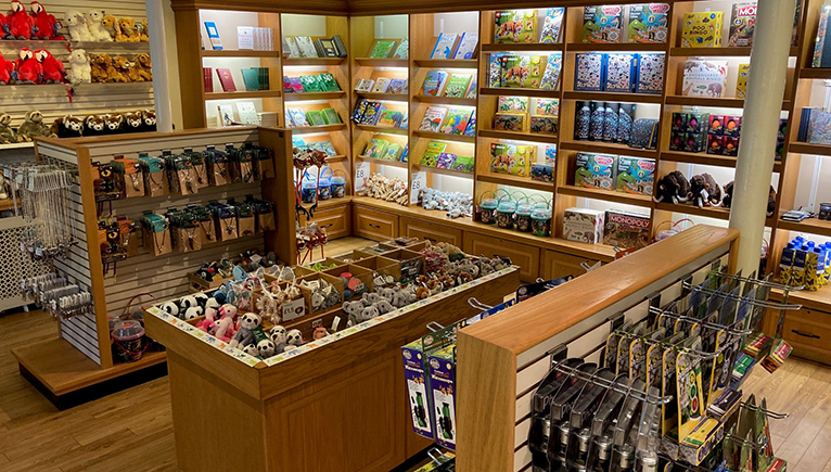 Image of Tring shop filled with cases of items 