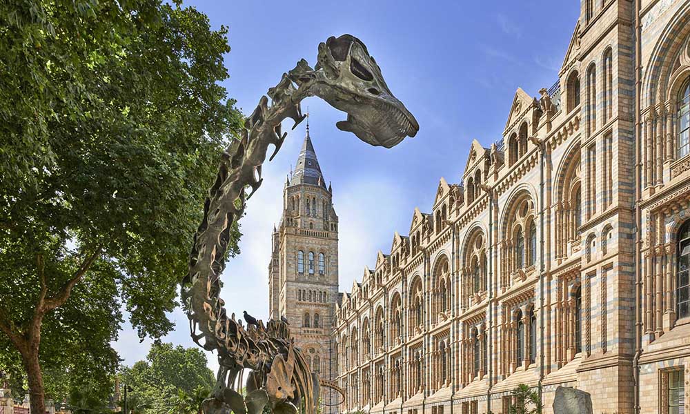 The façade of the Museum at South Kensington with Fern, a bronze diplodocus skeleton in the foreground.
