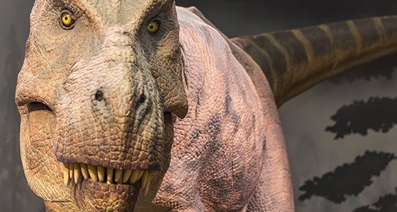 Close up of T-rex animatronics 