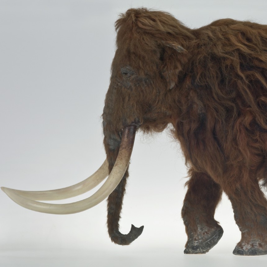 Ilford mammoth specimen.