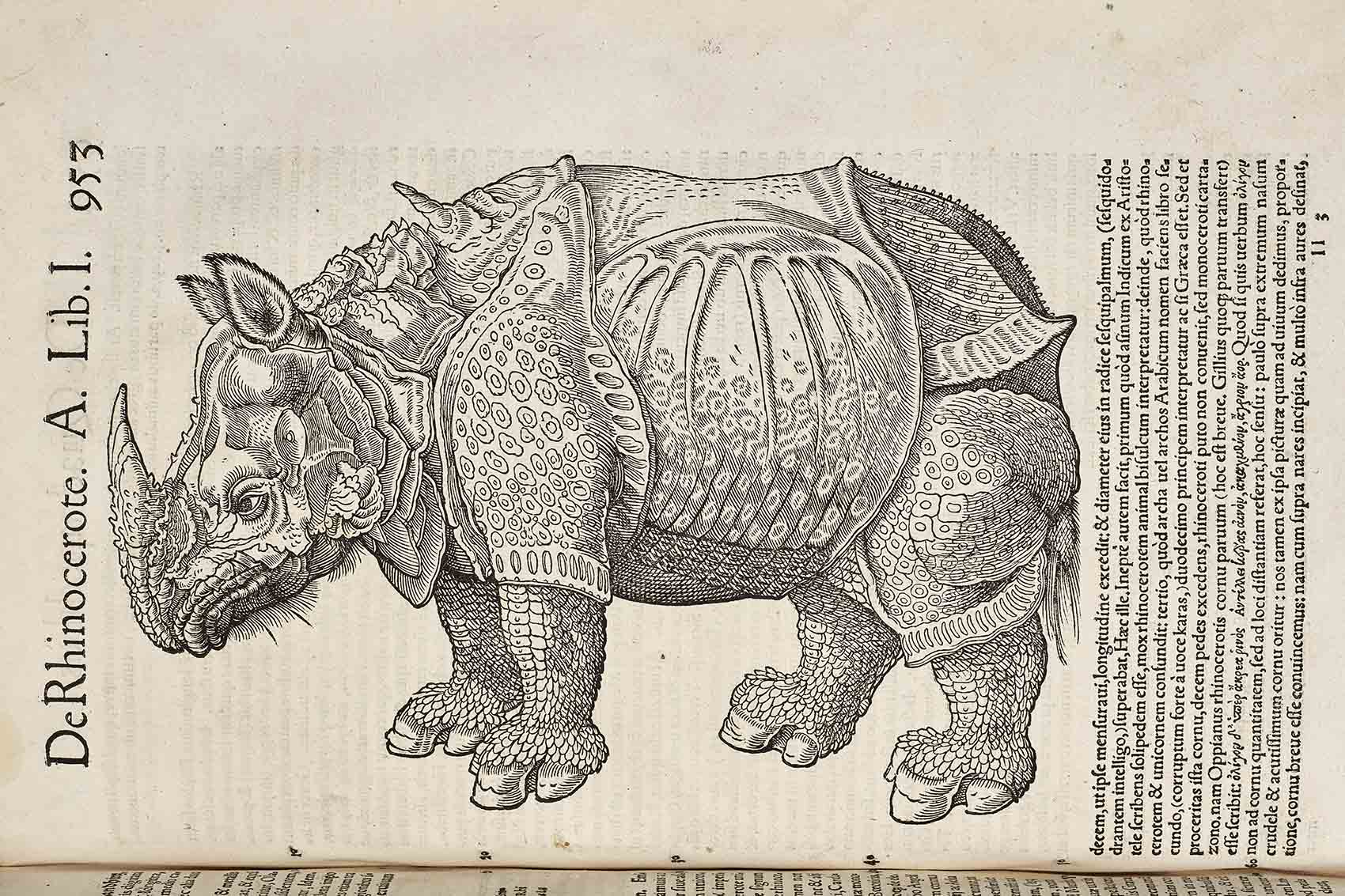 Replication of Dürer's errors in the book History of Animals