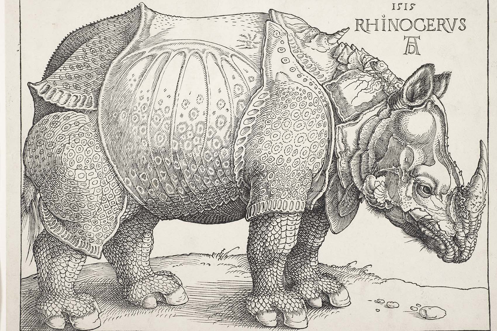 An image of a facisimile of Durer's rhino