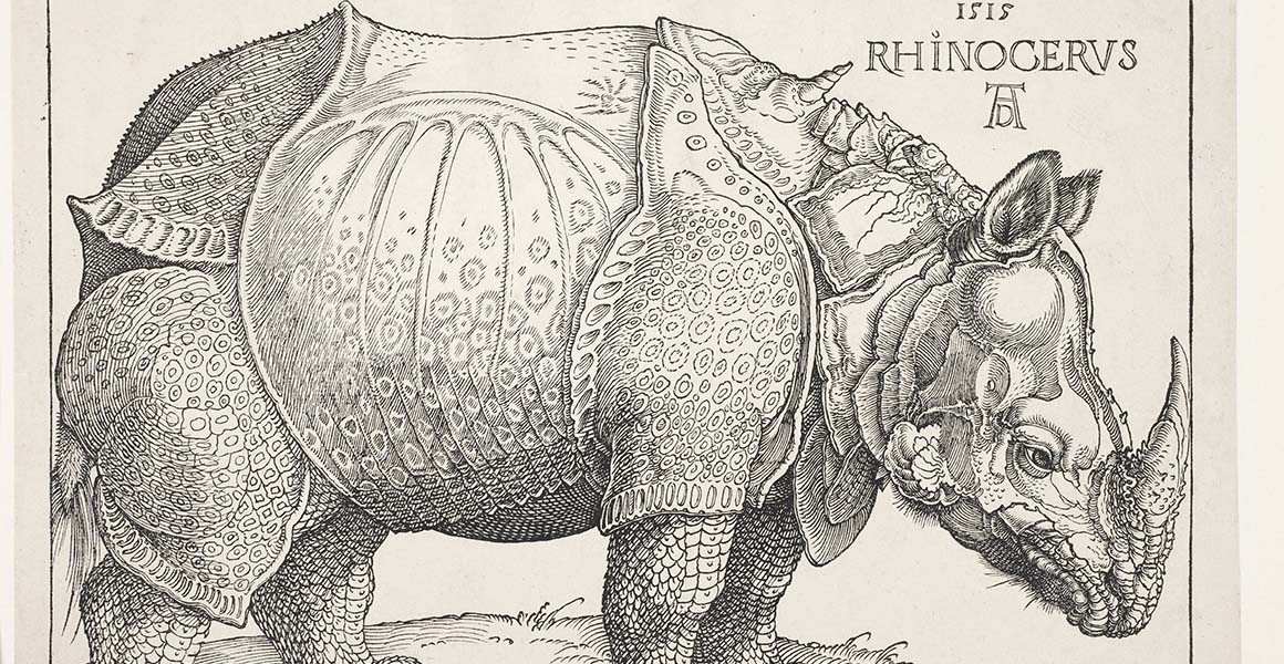 Facsimile of Dürer's Rhinoceros woodcut print