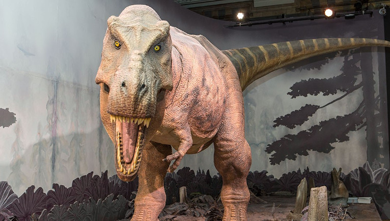 Our animatronic T-rex appears to be looking at the camera as it roars