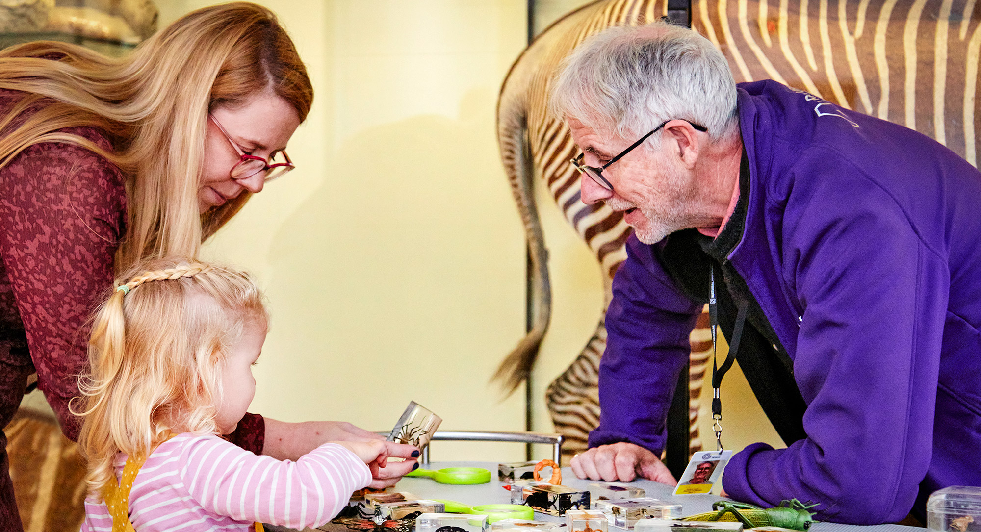 Volunteer showing a small skull to a child