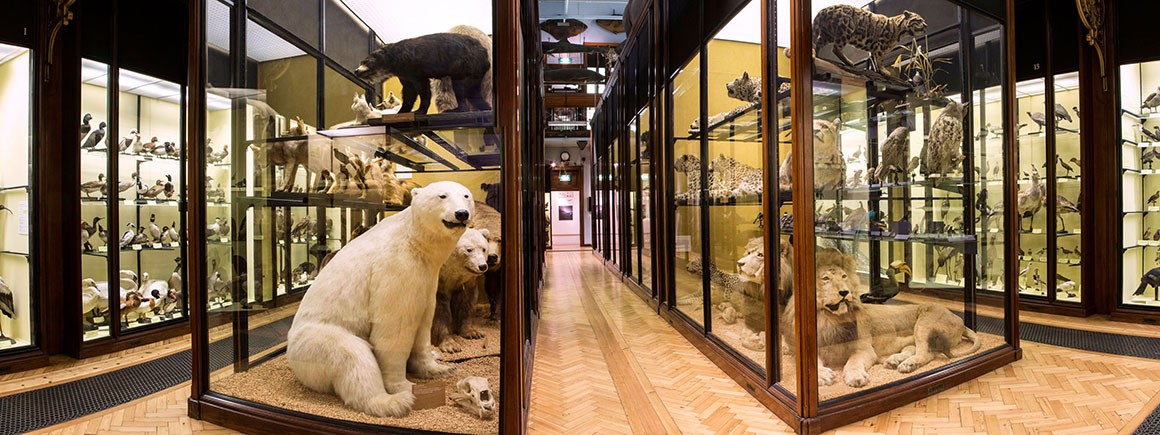 Galleries | Natural History Museum