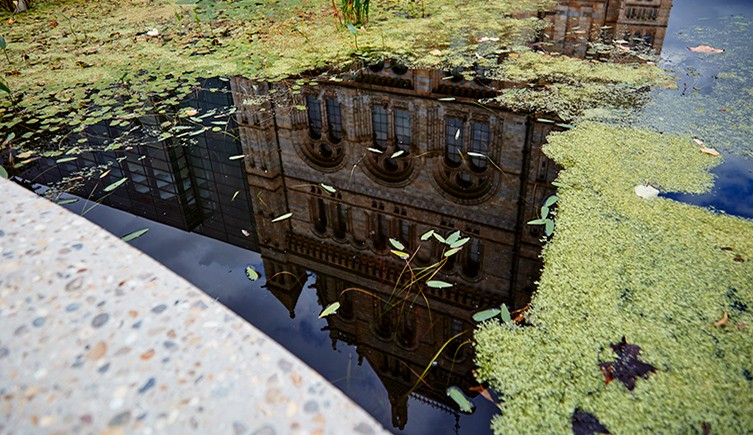 A pond shows the reflection of the Museum building