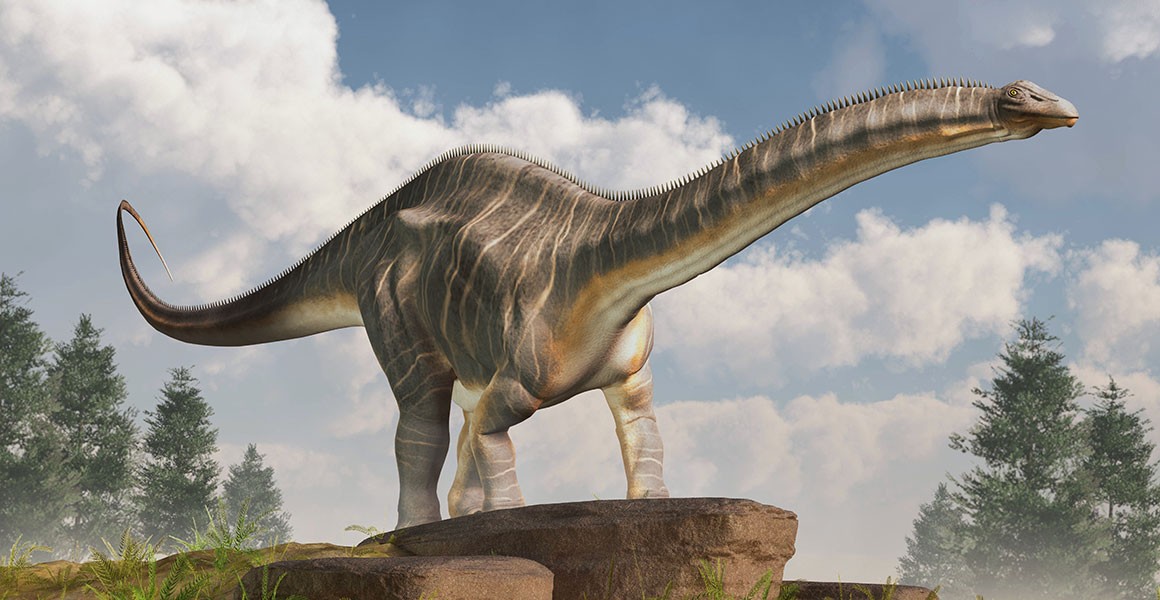 Brontosaurus: reinstating a prehistoric icon | Natural History Museum