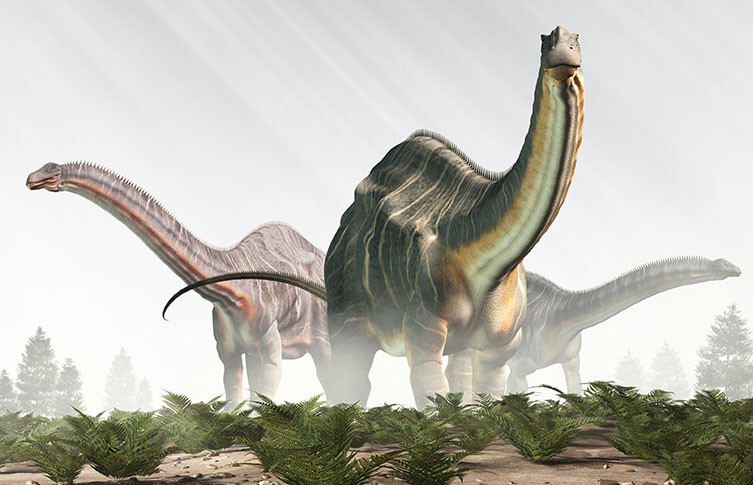 A 3D render of three Brontosaurus