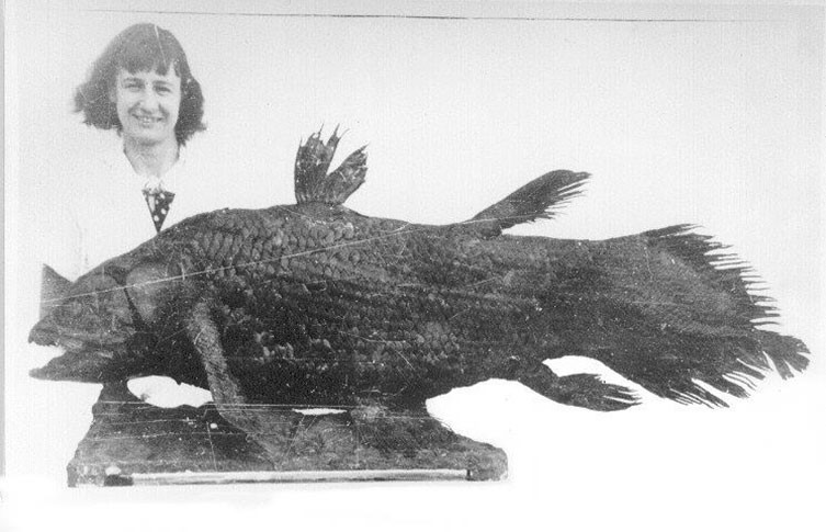 Coelacanths: the fish that 'outdid' the Loch Ness Monster