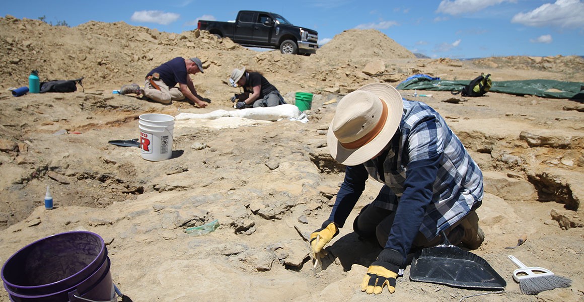 Mark Graham uses a brush to help him excavate a dinosaur bone