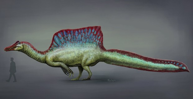 How Did Baryonyx Change What We Knew About Spinosaurs Natural History Museum - roblox skeleton trex