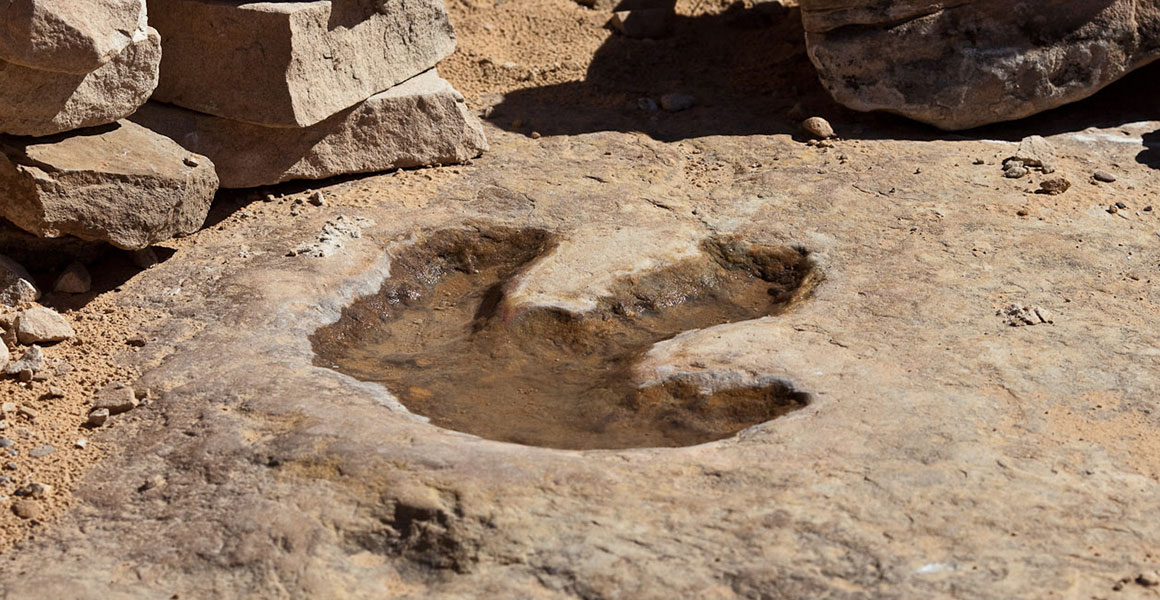 dinosaur-footprints-how-do-they-form-and-what-can-they-tell-us