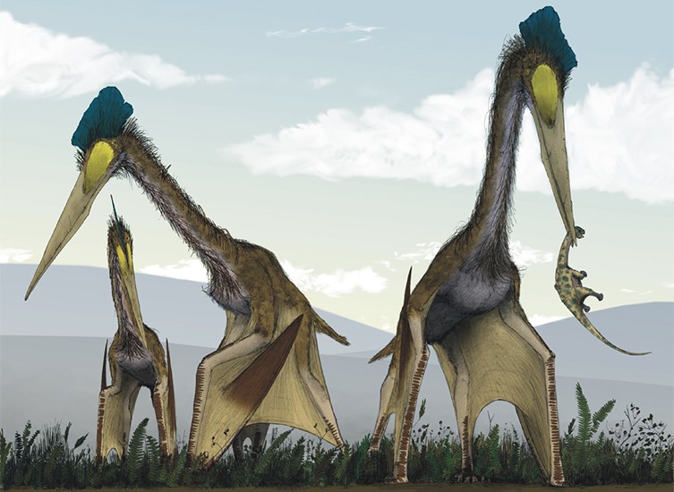 Palaeoart reconstruction of giant pterosaurs