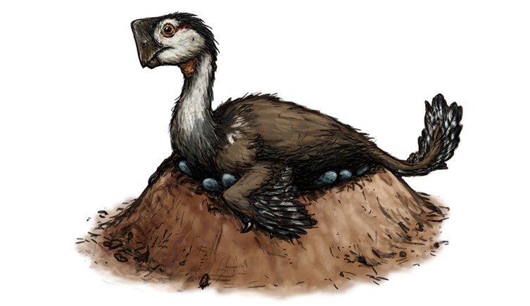 Illustration of a dinosaur sitting on its nest