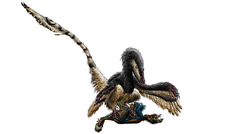 Velociraptor perched on prey