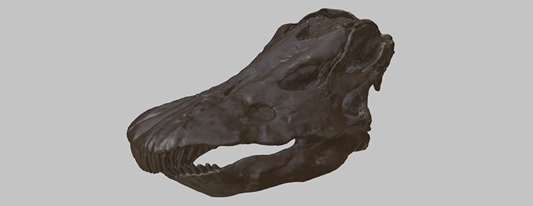 A 3D scan of Dippy's skull.