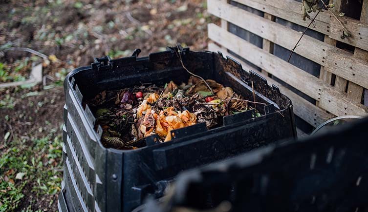 A plastic box full of fruit peeling and compost in a garden with wooden palletes to one side.