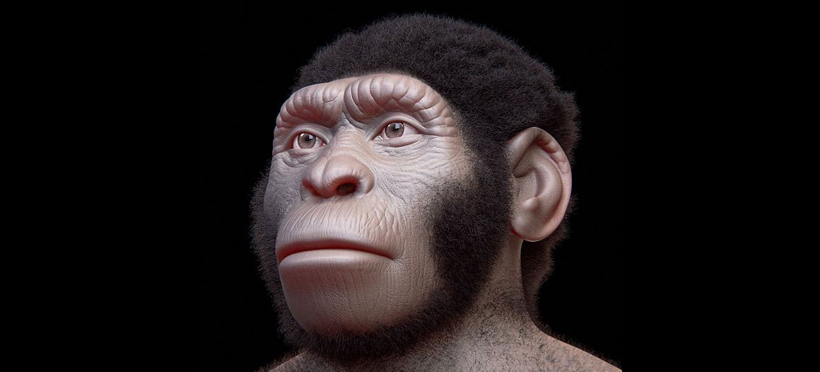Homo naledi, your most recently discovered human relative ...
