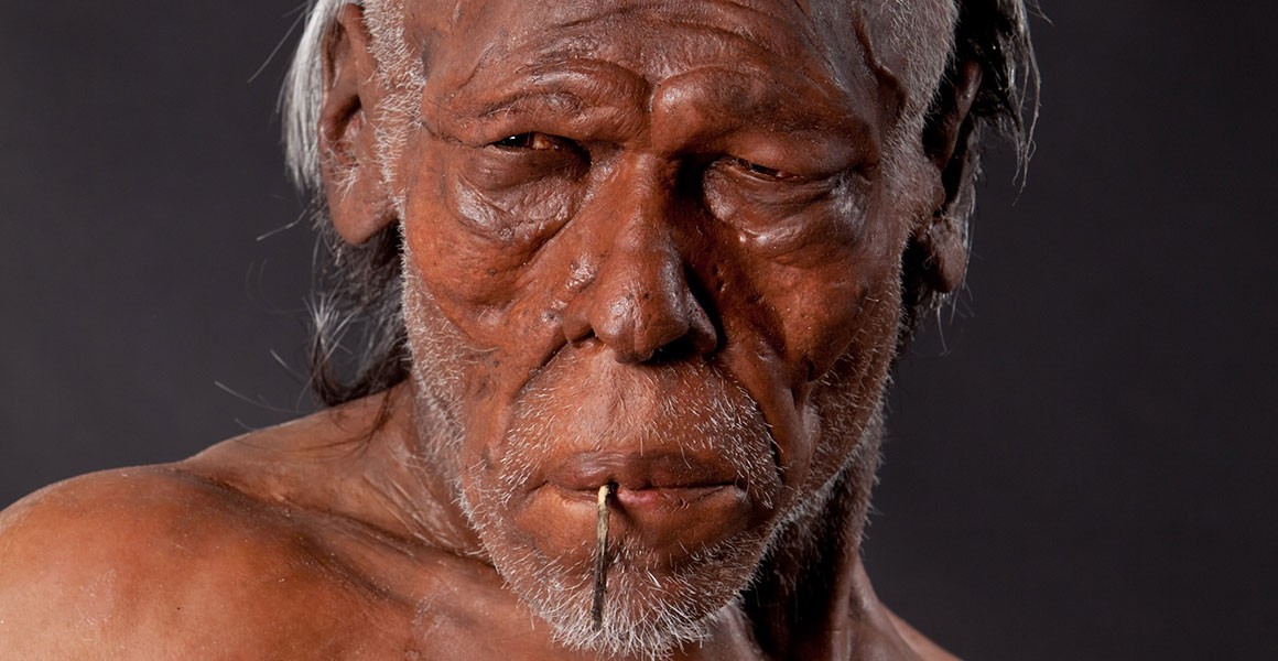 Early Homo sapiens model based on humans living around 30,000 years ago