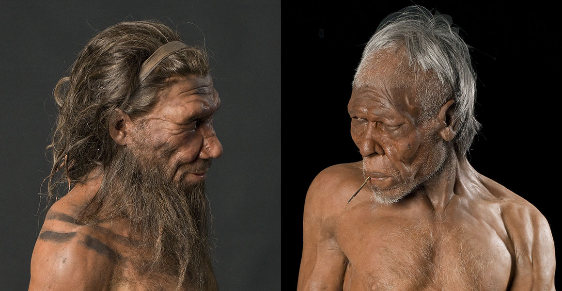Are Neanderthals the same species as us? | Natural History Museum