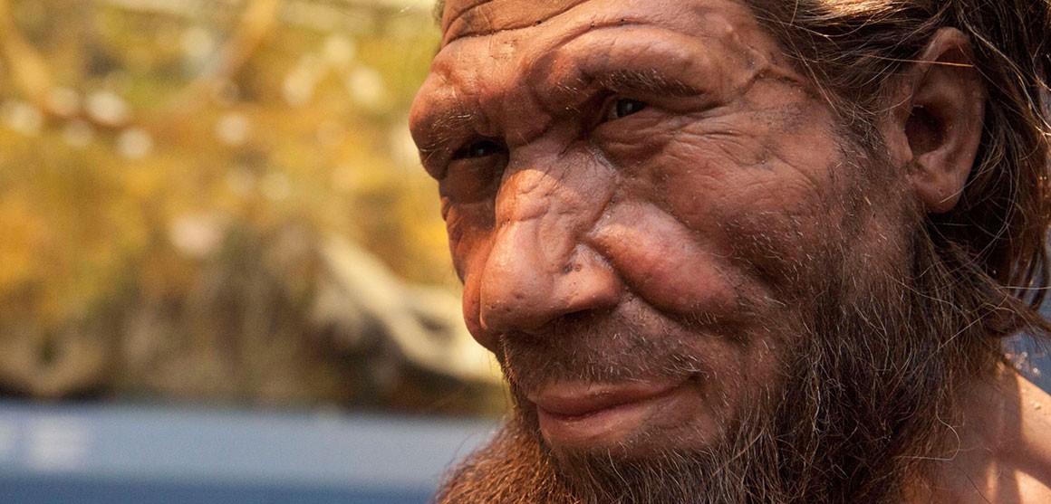 Reconstruction of a Neanderthal gazing into the distance