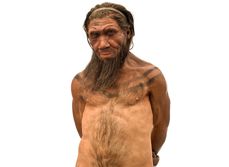 Cro Magnon Man Differs From Neanderthal Man In Having