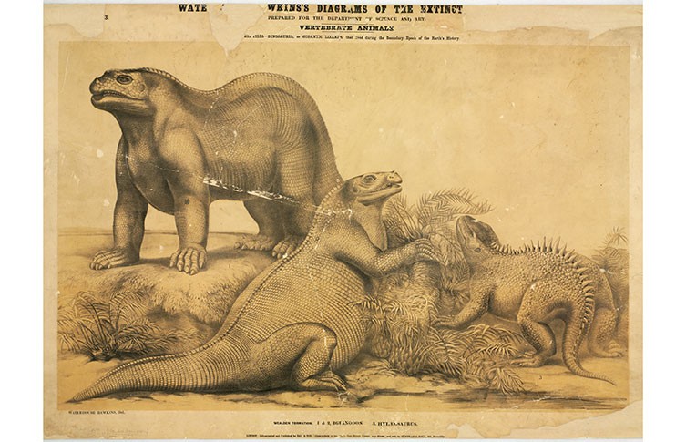 A drawing of the Crystal Palace Iguanodon and Hylaeosaurus models