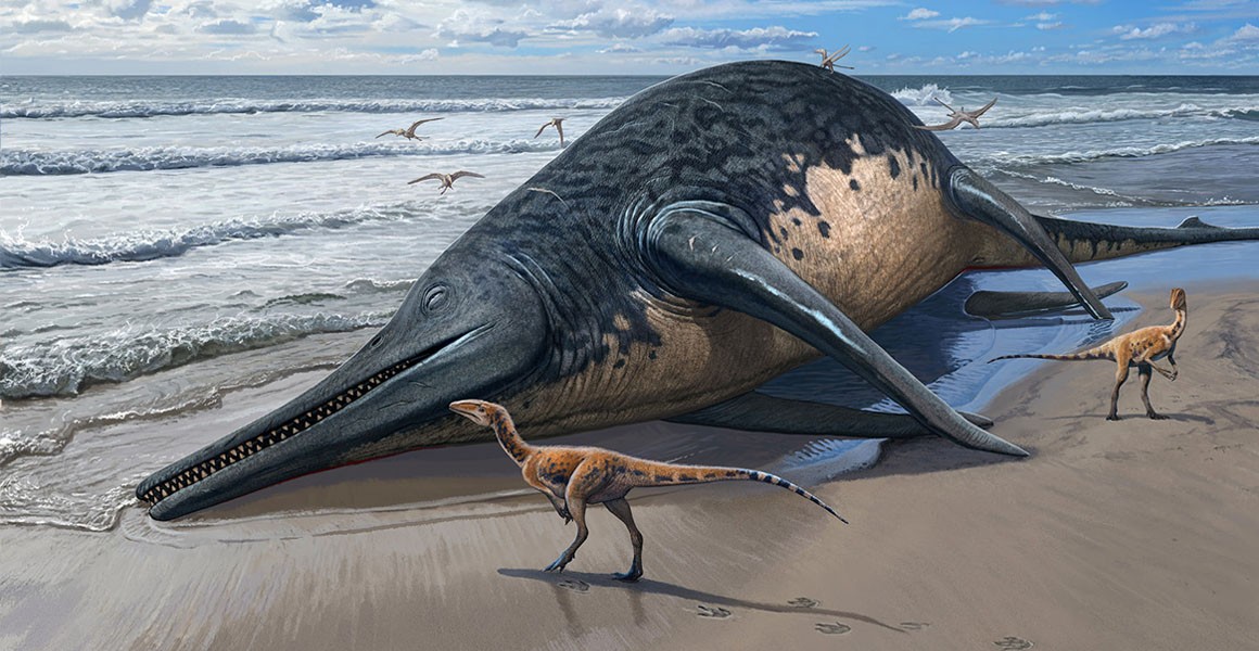 Illustration of a washed-up Ichthyotitan severnensis carcass on the beach