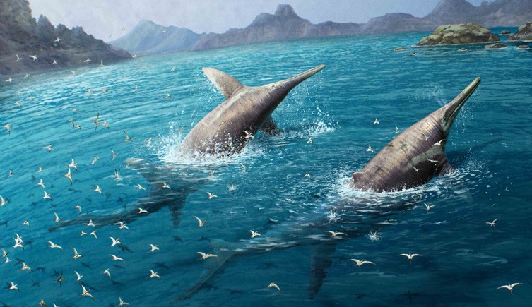 Illustration of a giant pair of swimming Ichthyotitan severnensis.