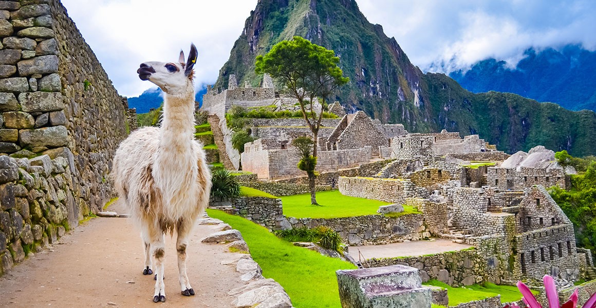 The rise and fall of the Inca Empire is recorded in llama poo ...