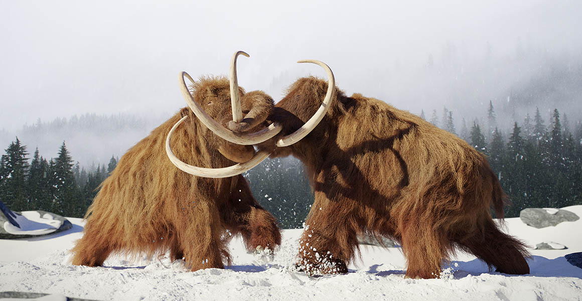 Entrepreneur plans to resurrect woolly mammoths | Natural History Museum
