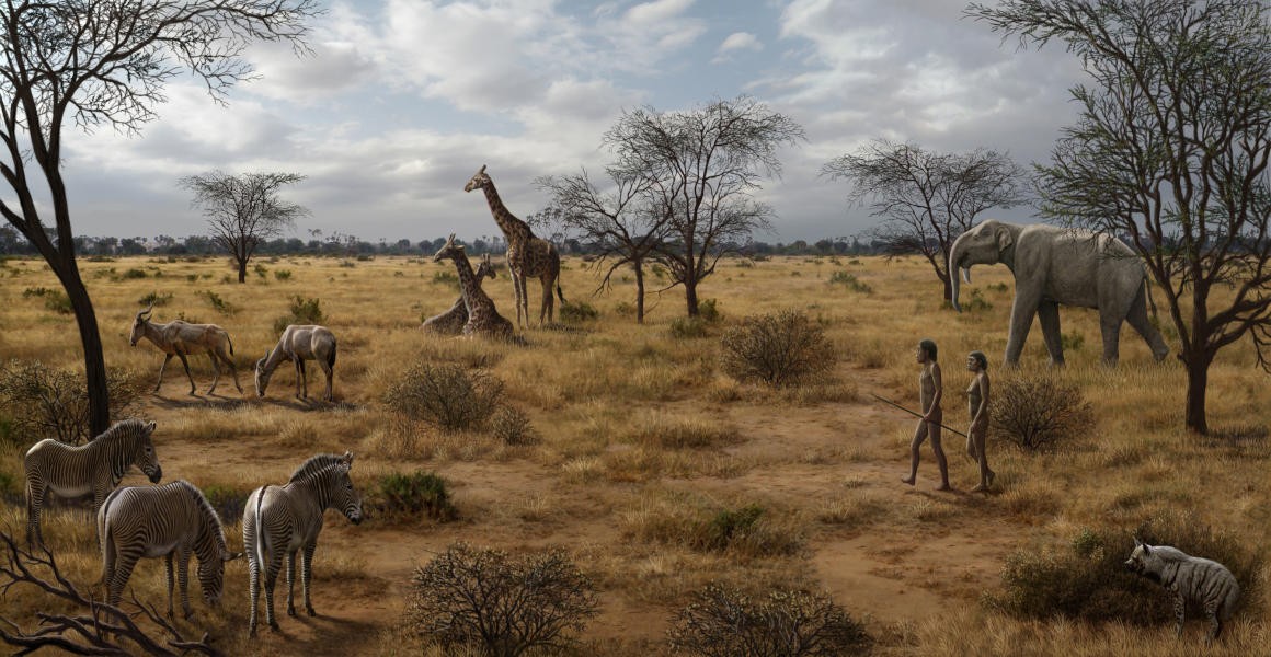An artist's impression of Homo erectus in eastern Africa surrounded by contemporary fauna