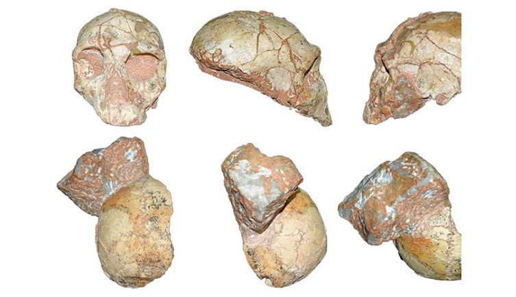 Modern Humans May Have Been In Europe 150 000 Years Earlier Than Thought Natural History Museum
