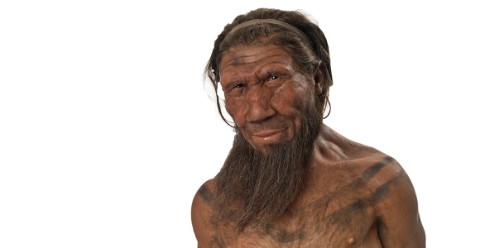 Human evolution | Natural History Museum