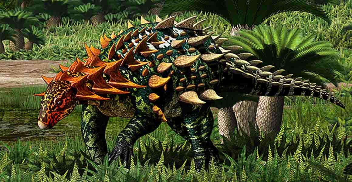 New species is earliest armoured dinosaur described from Asia | Natural  History Museum