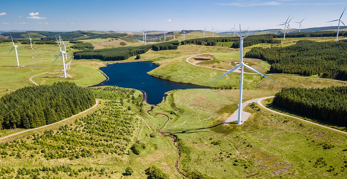 Wind turbines scattered across a landscape of fields, tree plantations and a lake