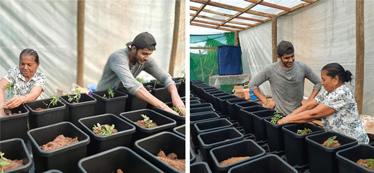Young farmer and grandmother grow vegetables via hydroponics