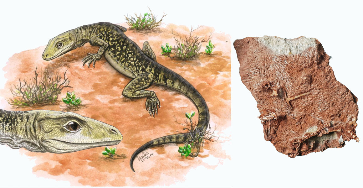 Gloucestershire fossil suggests modern lizards could have Triassic origins